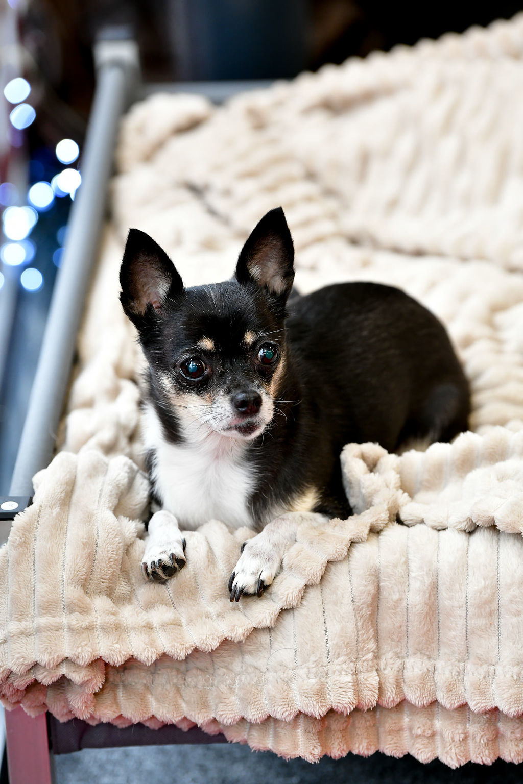 innovationphotography-commercial-photographer-swansea-47dsc_8944